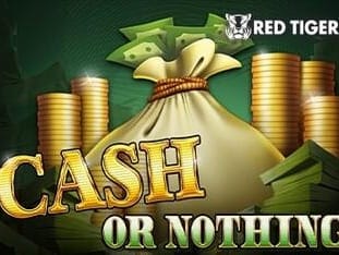 Cash Or Nothing icon